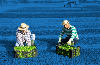 Farming Jobs Industry Tile Image
