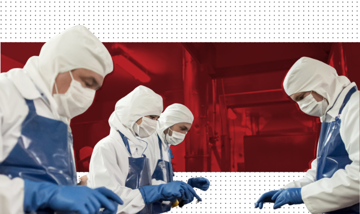 Case Study Manufacturing Food