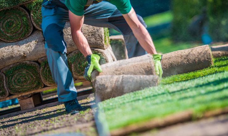 Landscaper Day Labor Jobs