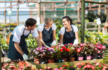 Landscaping jobs