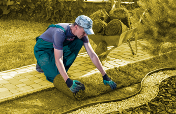 Day Laborer Jobs