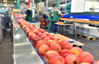 Food Production jobs