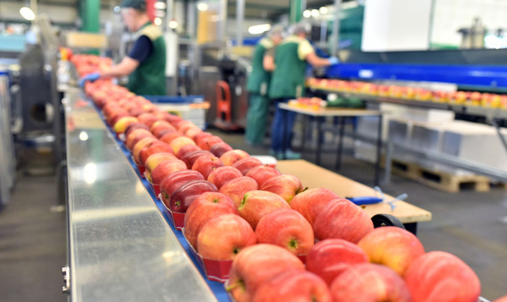 Food Production jobs